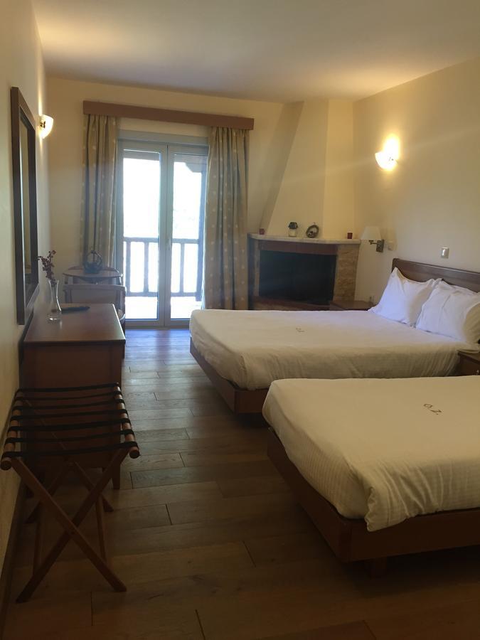 Olympios Zeus Hotel Κάτω Ζαχλωρού Εξωτερικό φωτογραφία